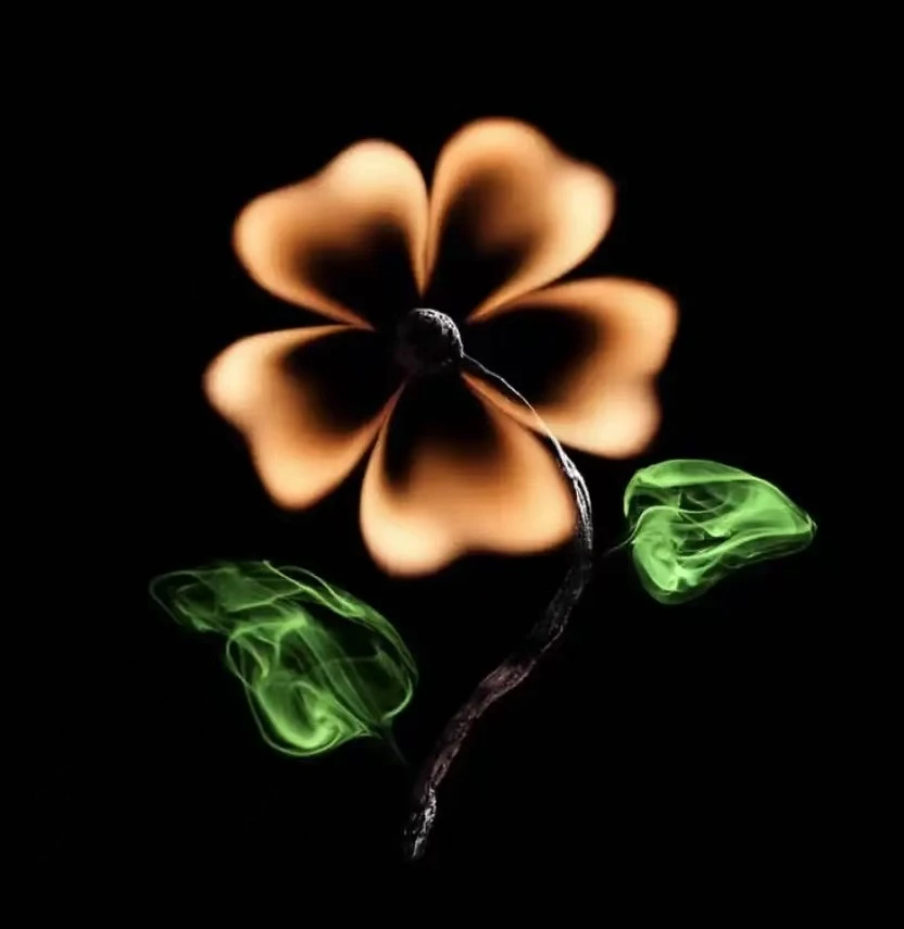 精品-泰狮金鱼-冷水-观赏鱼-东北渔场养殖-花色多多