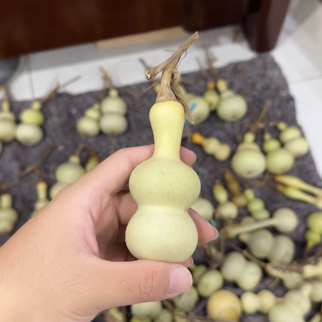 百***a葫芦djsjdjdnsnsnsnsns