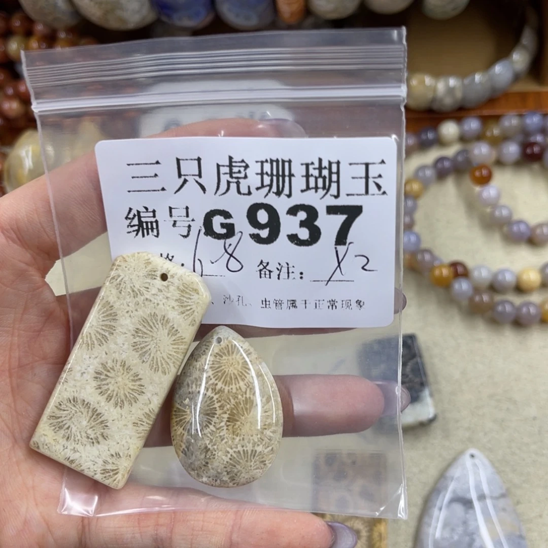 清***呀硅化珊瑚（珊瑚玉）未镶嵌h