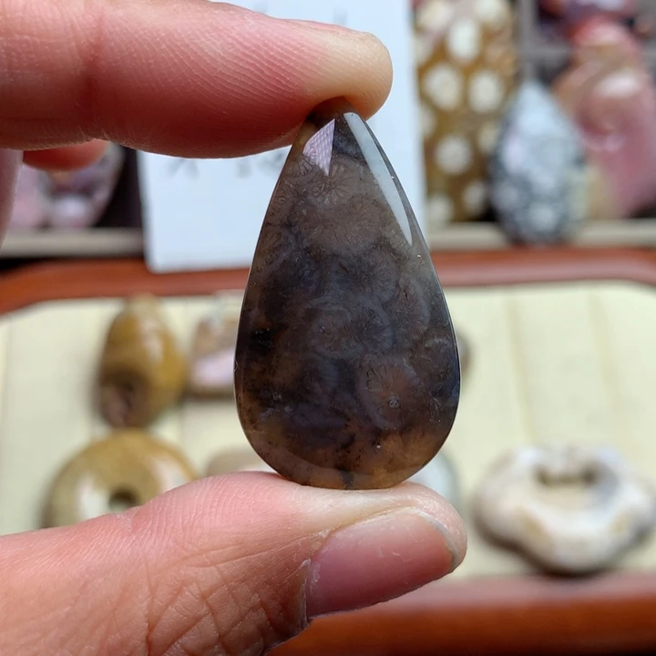 硅化珊瑚（珊瑚玉）颈饰未镶嵌