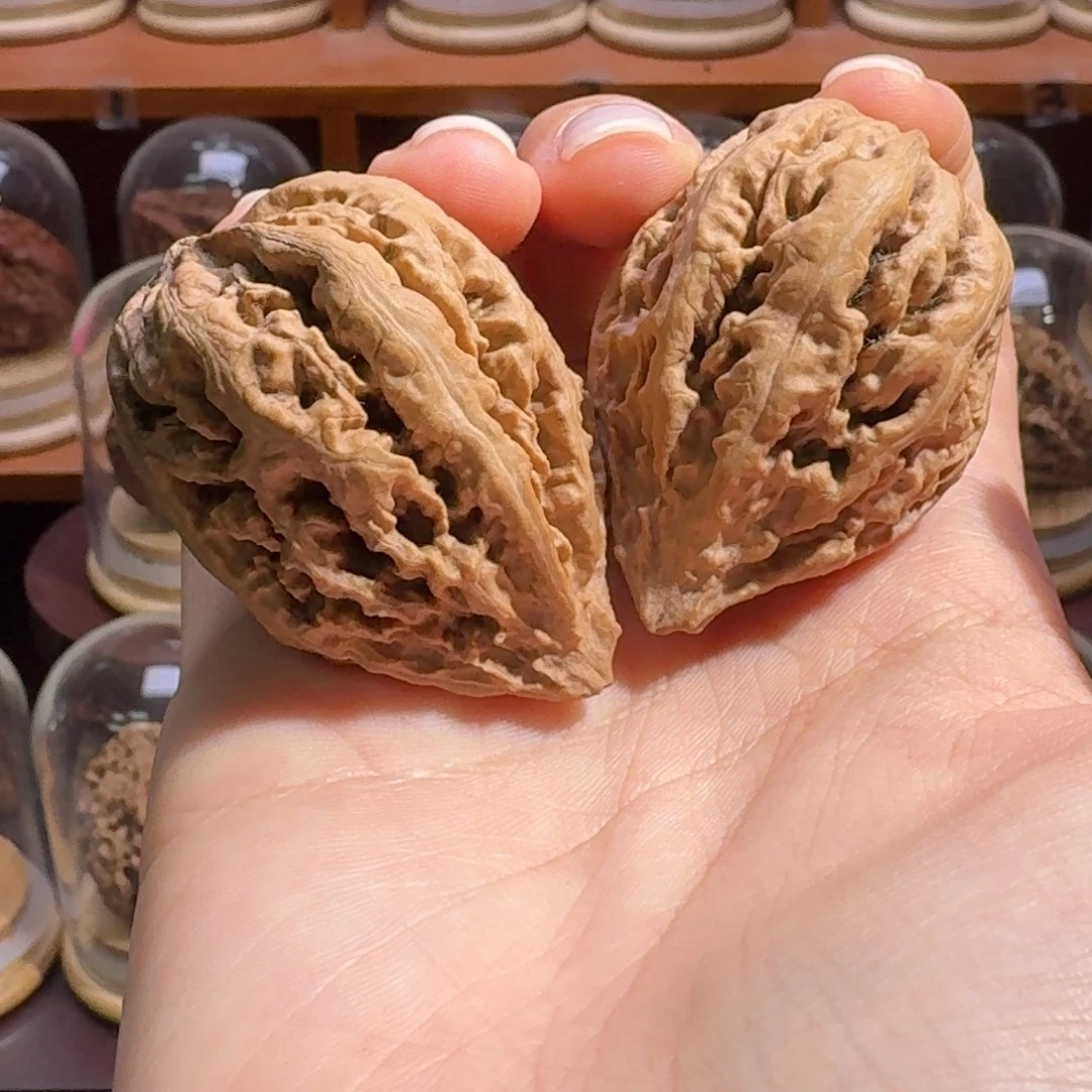 文玩核桃把件粗筋火焰龙