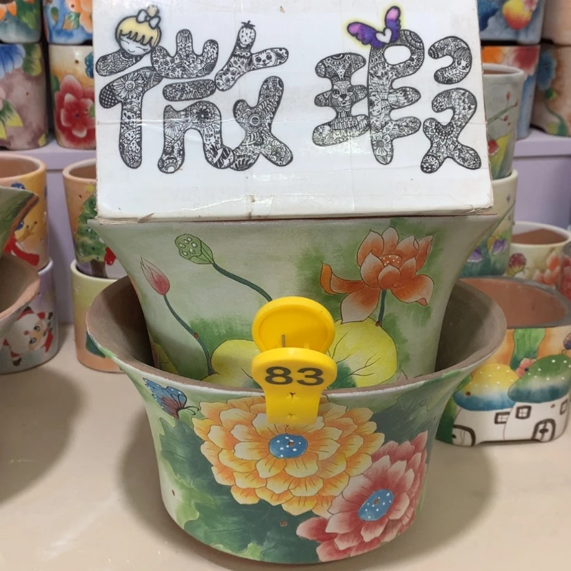 【闪购商品】红陶飞**师