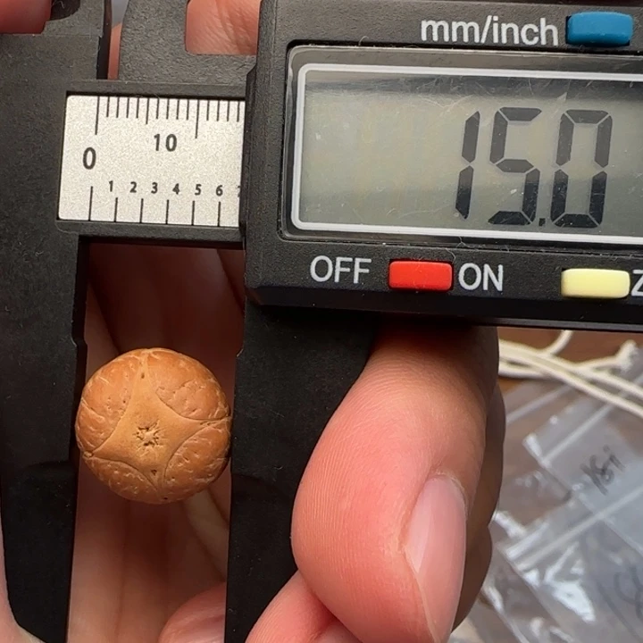 吊坠龙眼菩提15➕精品麒麟