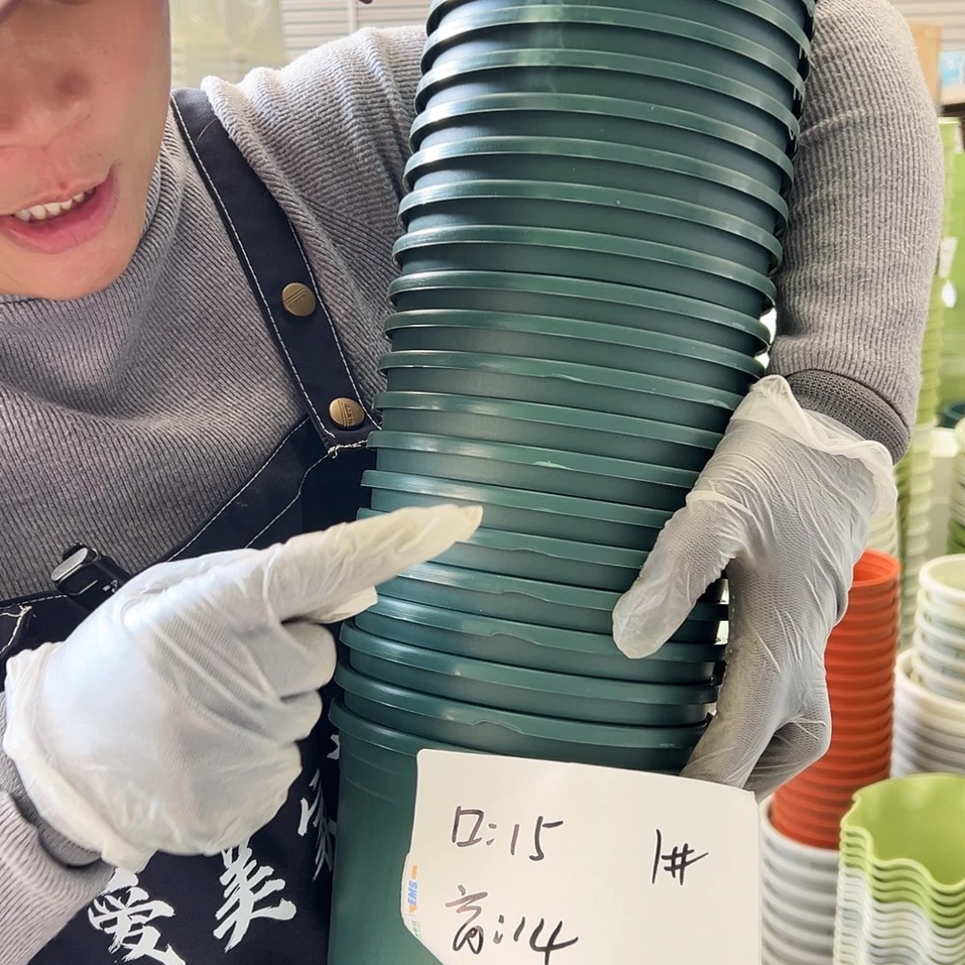 瑕疵加厚1加仑墨绿色12个无托