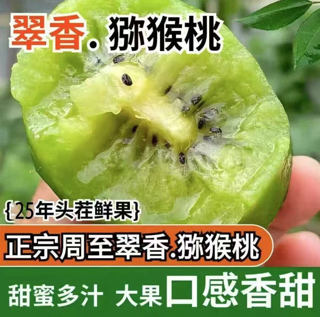 【翠香】周至翠香猕猴桃奇异果五斤装应季水果正宗新鲜产地直发
