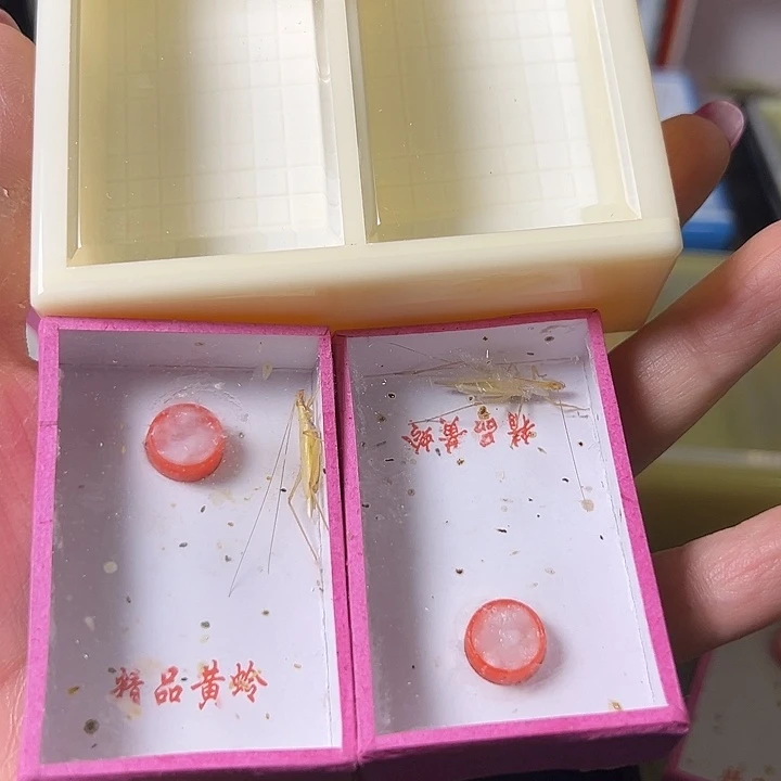 彬***哥蟋蟀哈哈哈哈哈哈哈哈哈哈哈哈