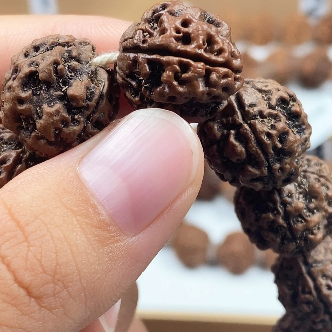手串金刚菩提精品4瓣红皮铁籽粗筋双龙