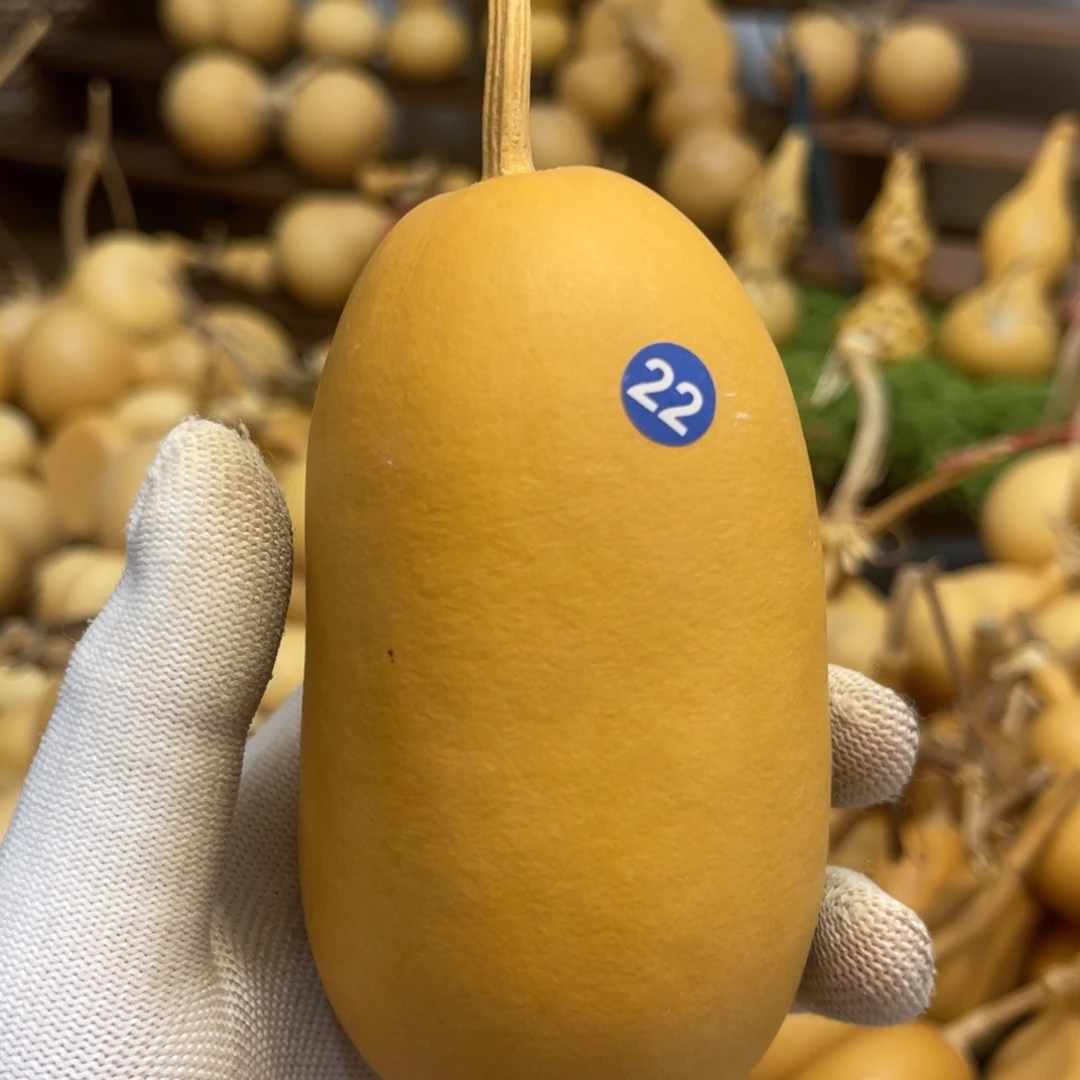 闪拍葫芦链接-22号品