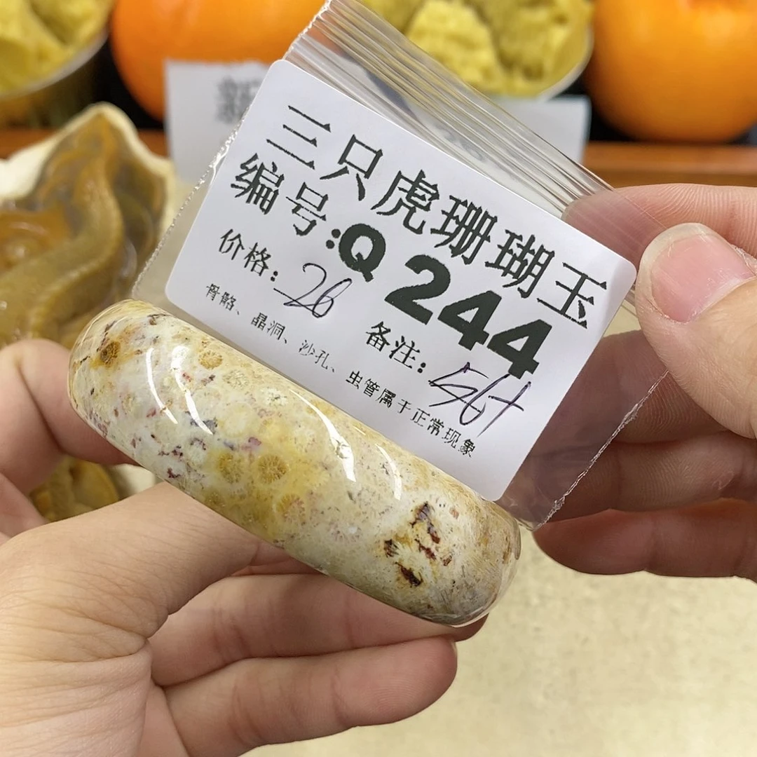 硅化珊瑚（珊瑚玉）1未镶嵌用****舞