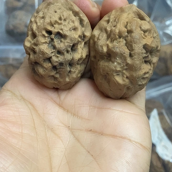 文玩核桃把件云南铁核桃基地45