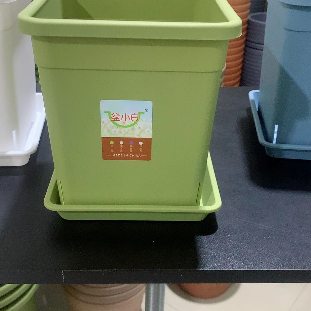 方口16绿5个带托