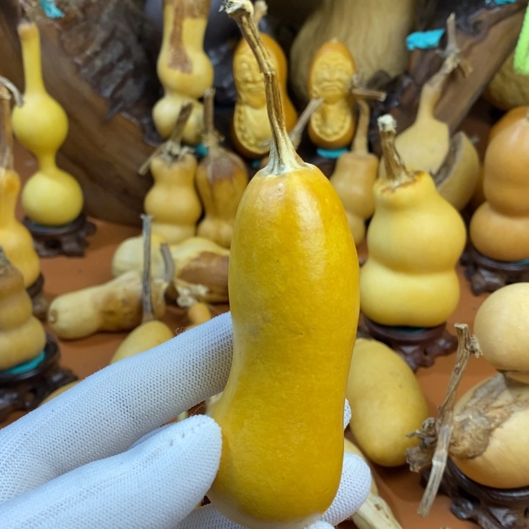 冬***阳啦啦啦局长教练咯教练咯