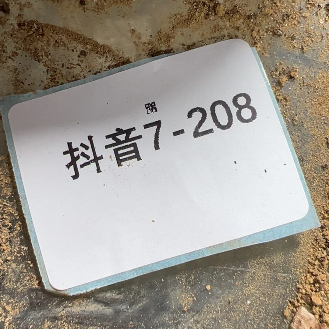 两*行7-208哈莫灯泡多肉植物