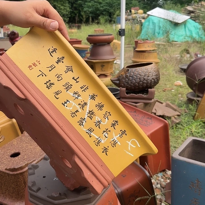 紫砂花盆紫砂花盆