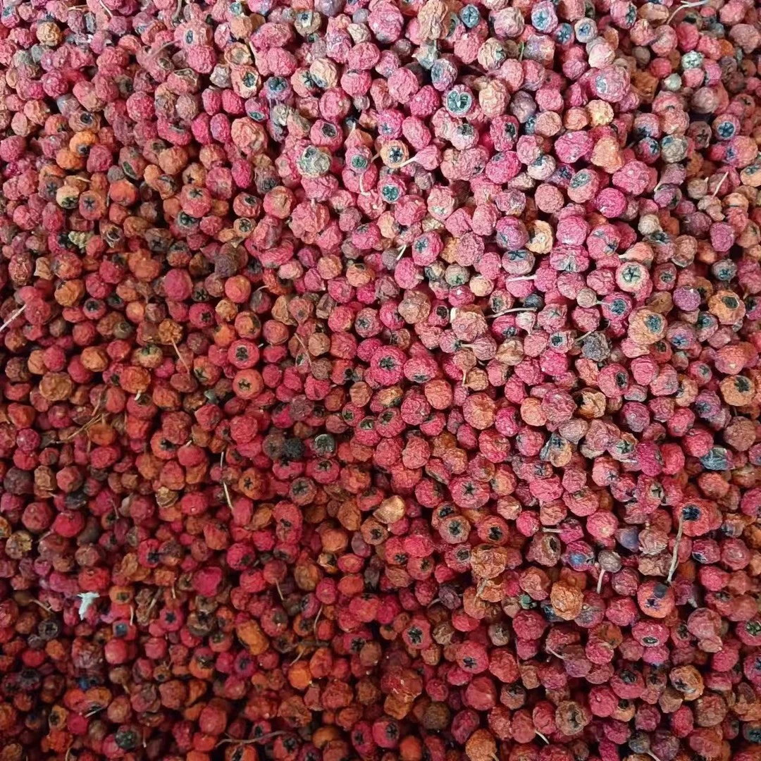 云南深山（紫，杉，果）现收