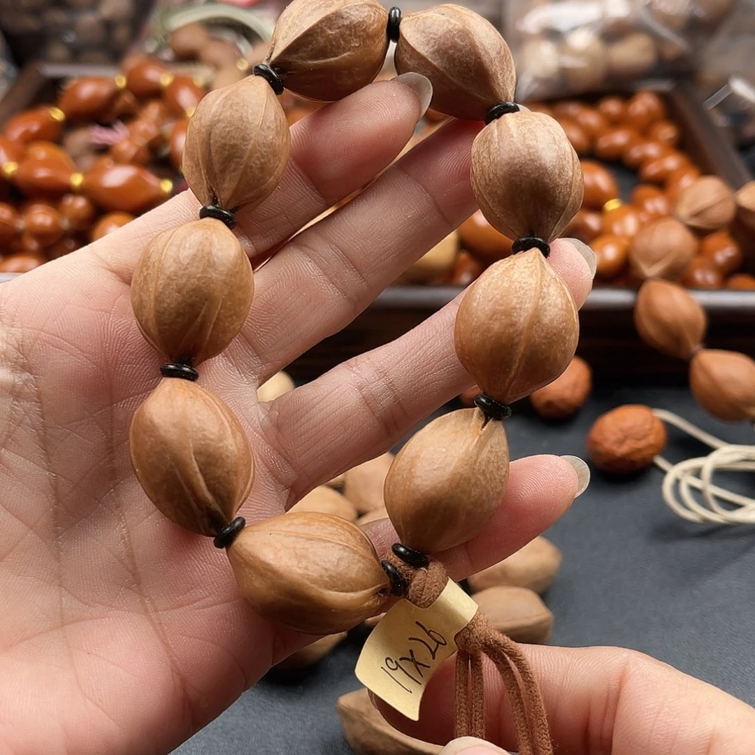 吊坠龙脊菩提橄榄树等植物