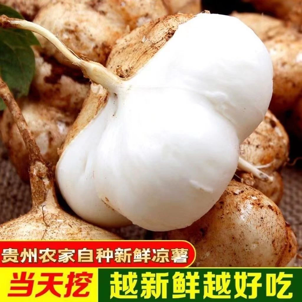 农家地瓜凉薯贵州高山农家生态新鲜现挖凉薯地瓜脆甜鲜嫩多汁好吃
