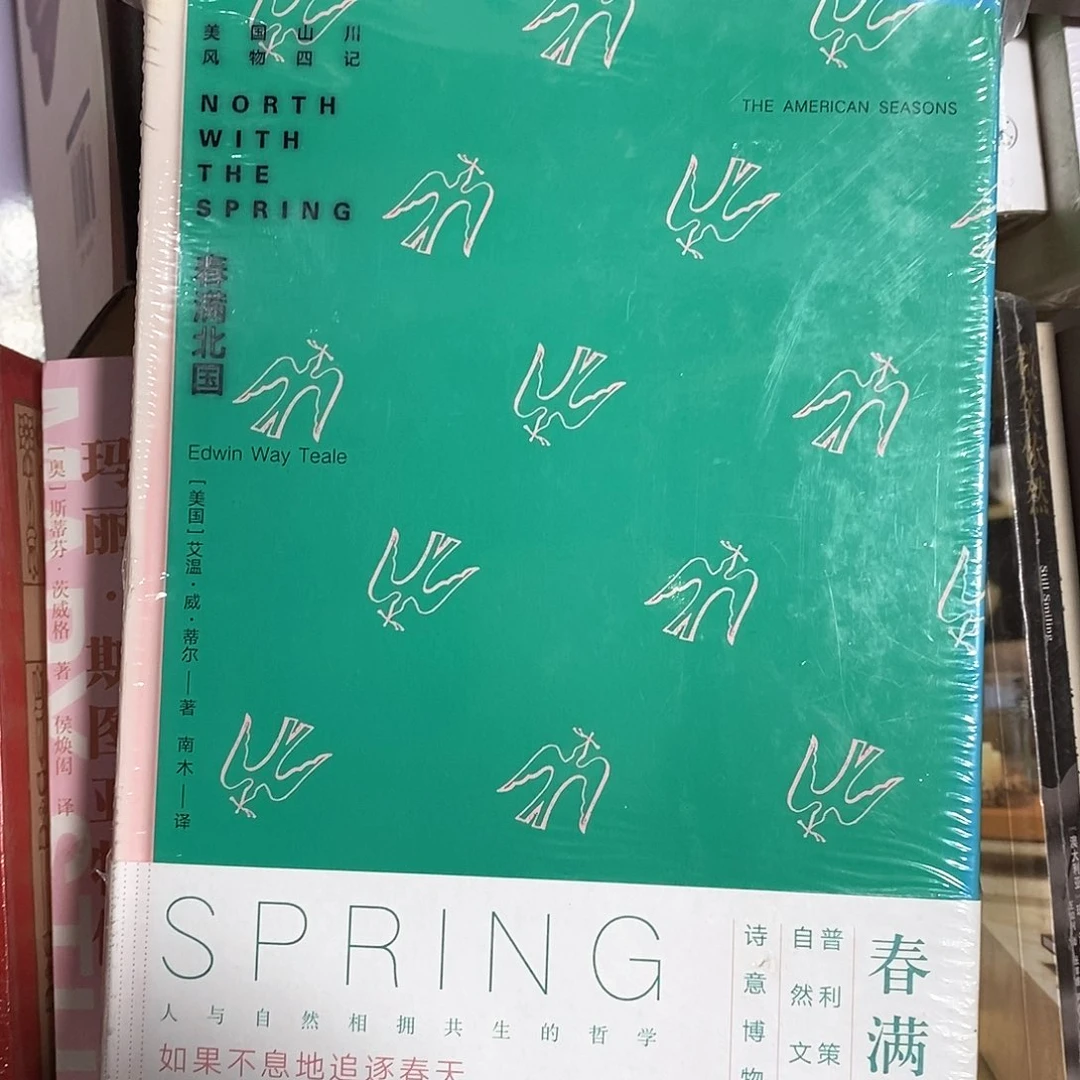 瑕疵  春满北国……