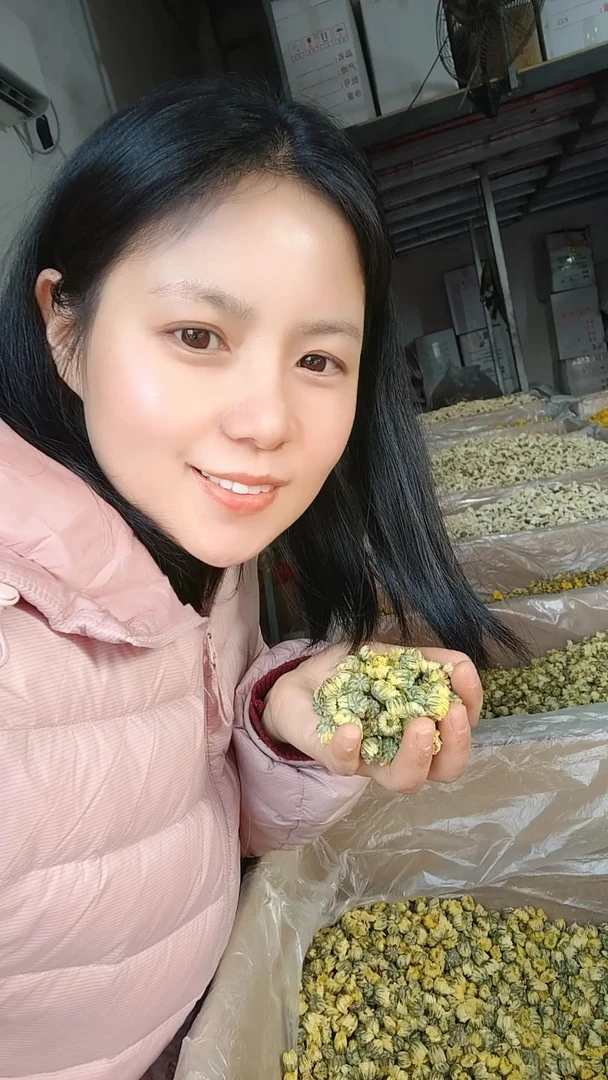 桐乡胎菊 菊花茶浓郁饱满精选100g 250g