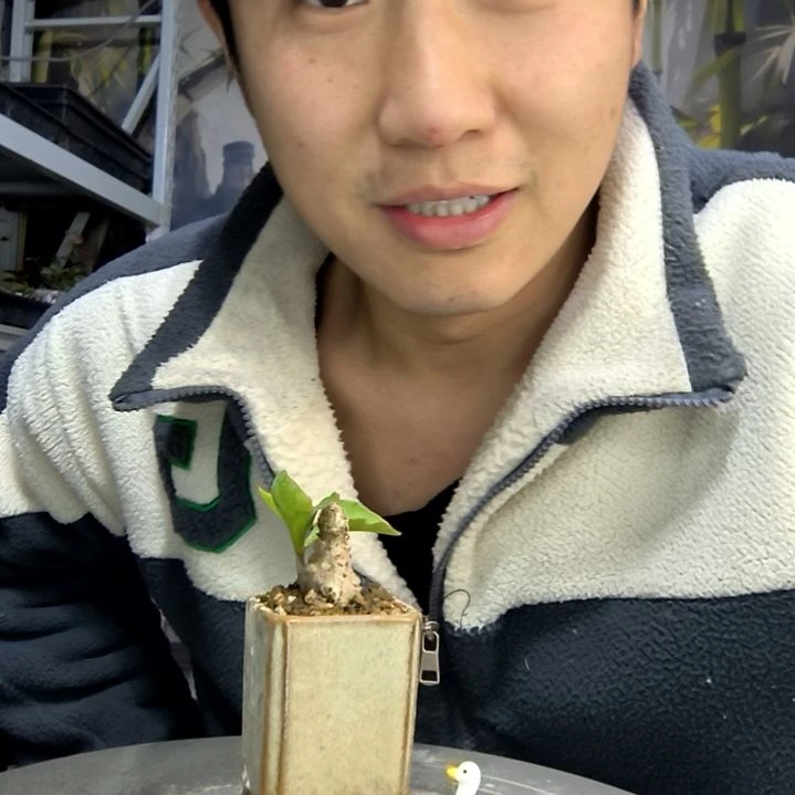 专***腿中青园艺一物一拍花407