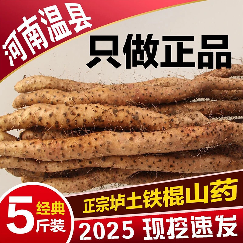 怀甄正宗焦作温县怀甄淮山新鲜包邮70-垆土温县铁棍山药