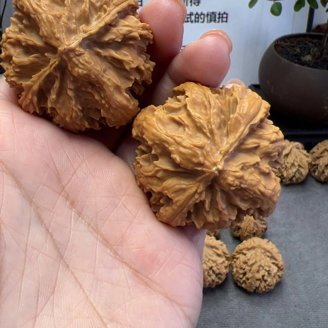 文玩核桃把件秦岭植物核桃