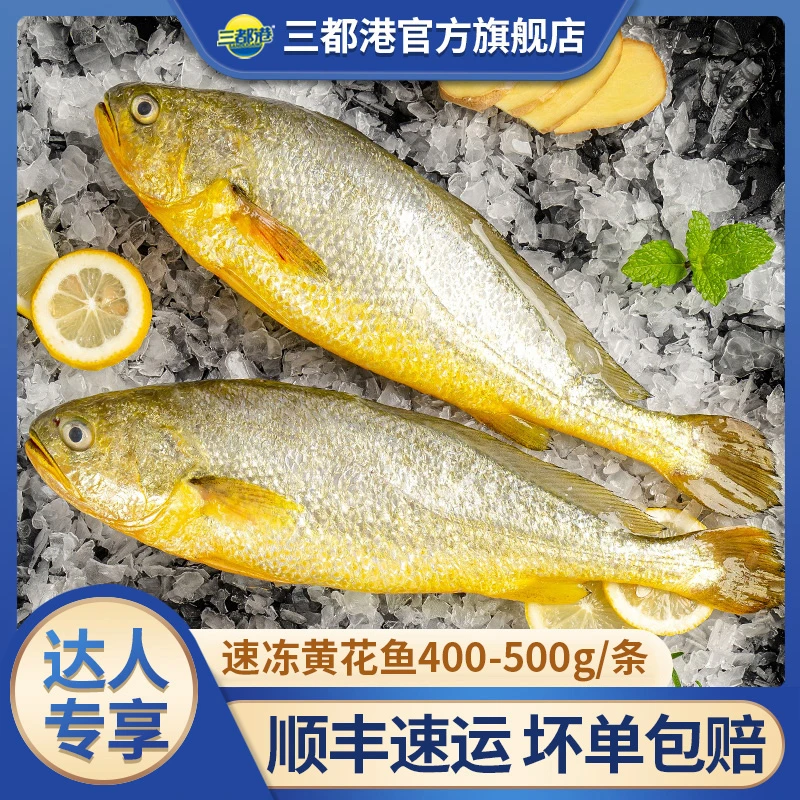 三都港速冻黄花鱼400-500g/条 宁德原产地新鲜大黄鱼【达人专享】
