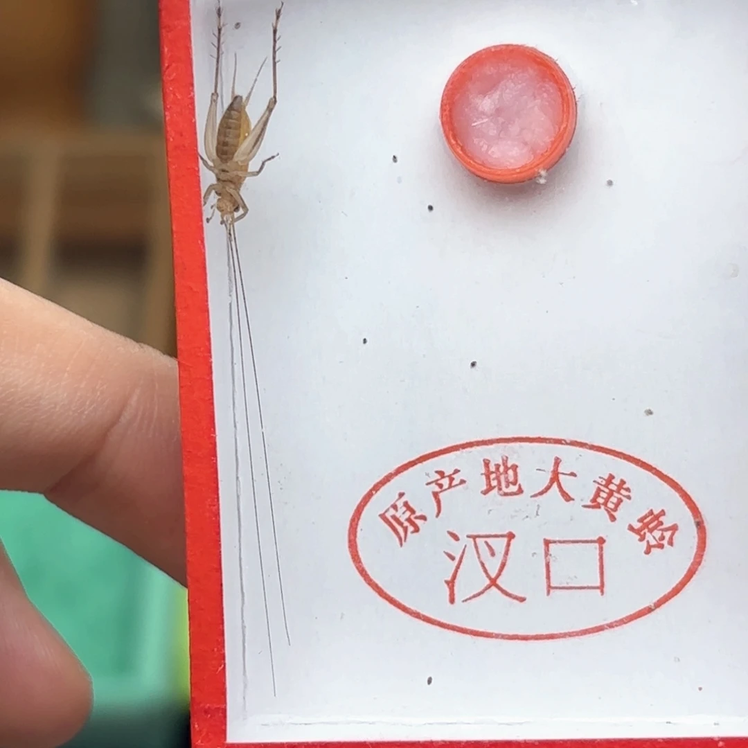 哈哈哈哈哈哈哈哈哈哈