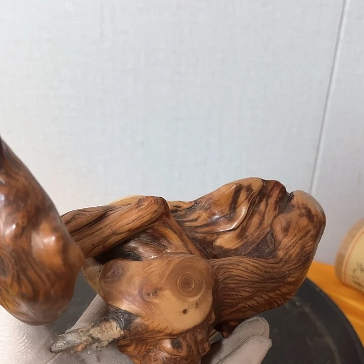 烈***烟柏木（崖柏）太行崖崖柏柏