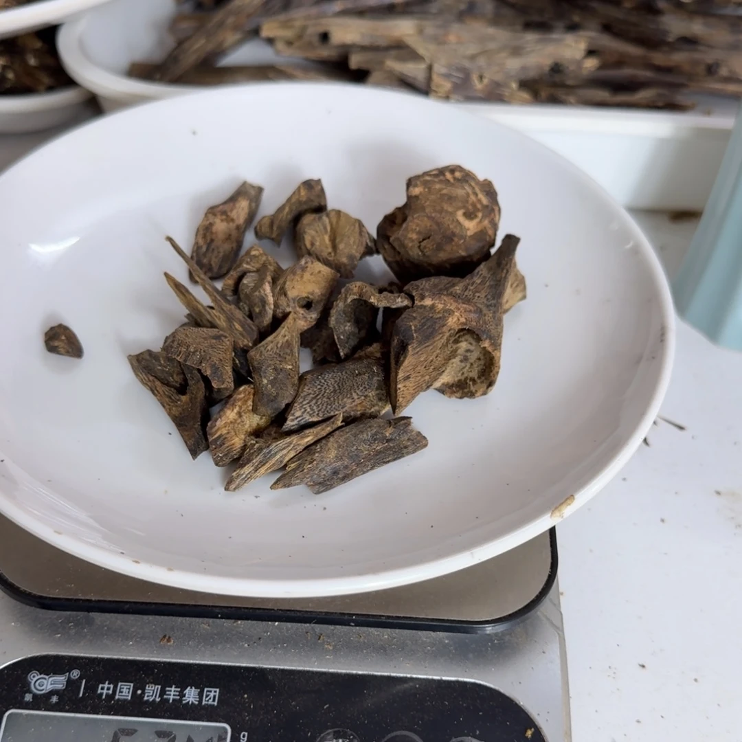 沉香碎屑沉香寅*陆河树丁老树