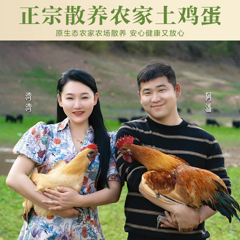 【感恩回馈】山林散养土鸡蛋【绿壳15枚粉壳15枚】30枚装顺丰包邮