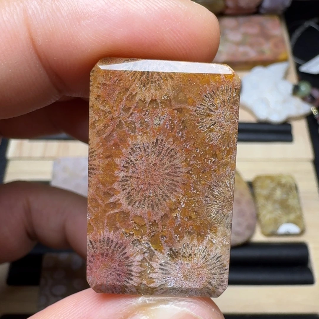 未镶嵌纯天然色有机玉石保真色硅化玉