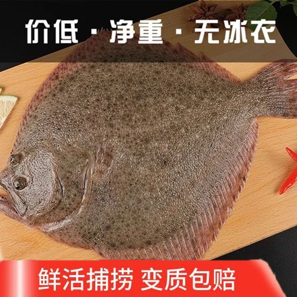 多宝鱼嘎嘎新鲜，刚上岸的全是肉没有碎刺  清蒸红烧5斤装