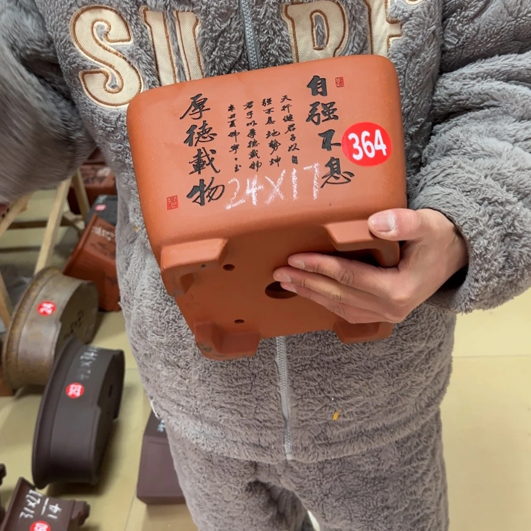 紫砂花盆呜呜呜呜