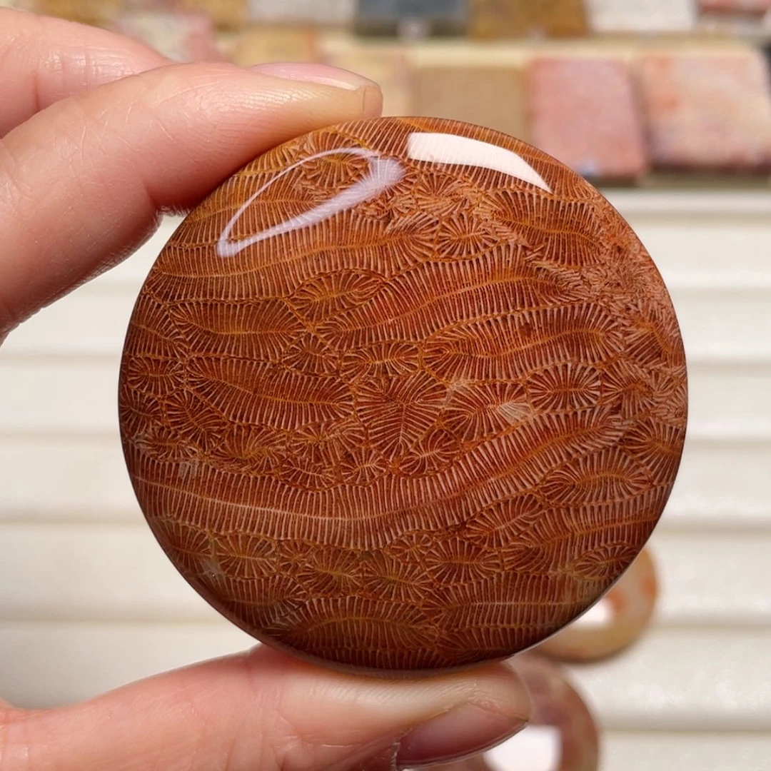 【闪购商品】未镶嵌吊坠(赠链)硅化玉野*