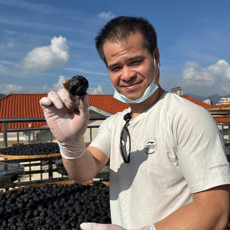 九蒸九晒五年熟地黄