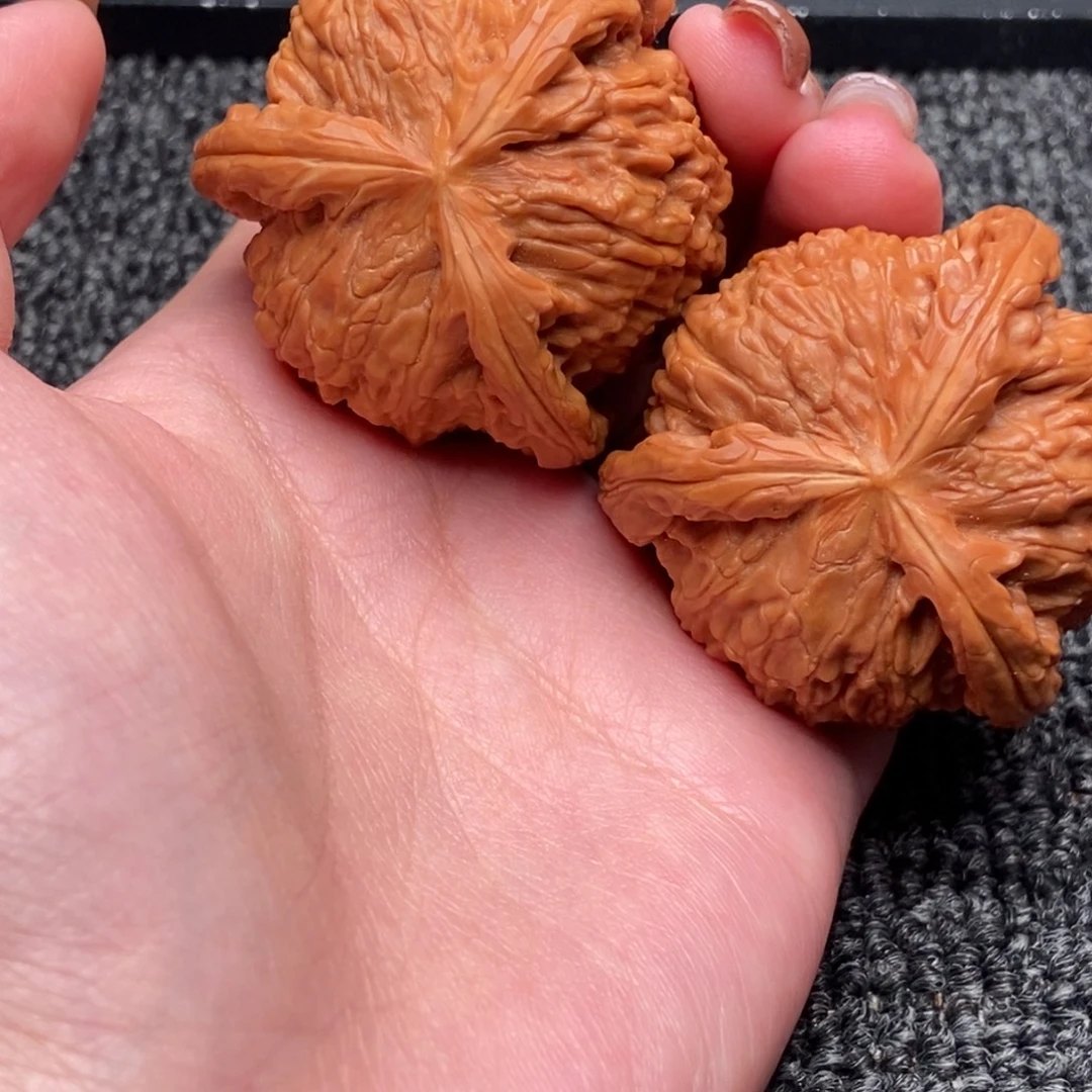 绝***度木质类白狮子正奔