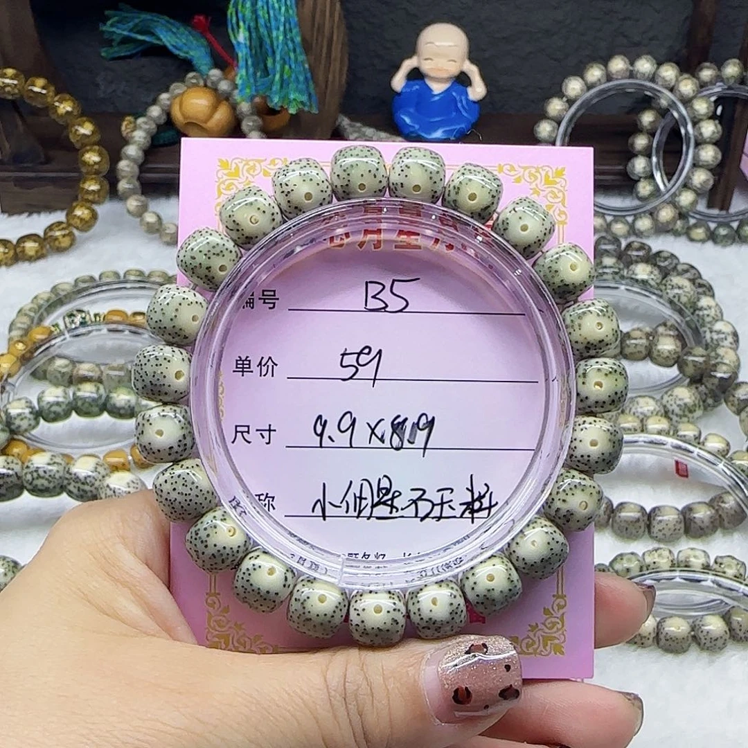 心月星月菩提一号B5