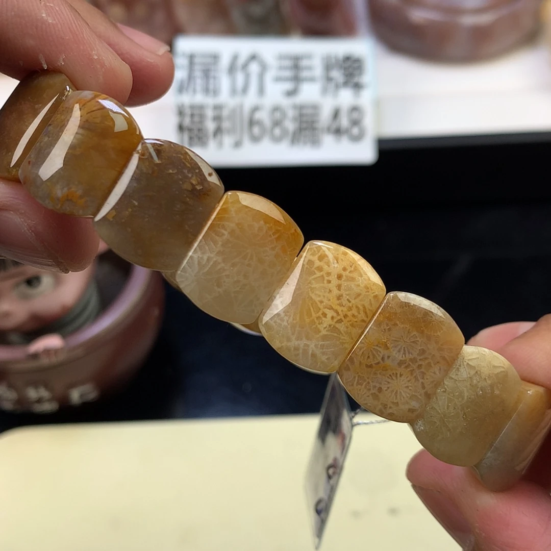 【闪购商品】颈饰未镶嵌硅化珊瑚（珊瑚玉）49号网纹花花加蕾丝