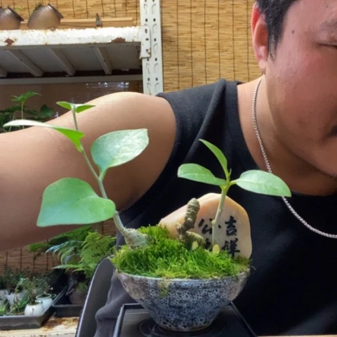 红陶空*一物一拍所见即所得47