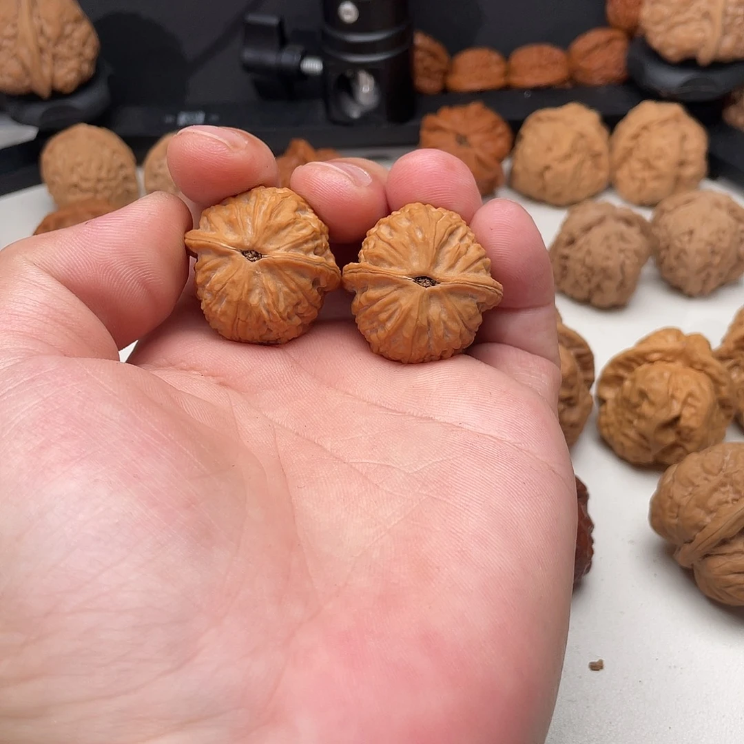 吊坠文玩核桃福宝31