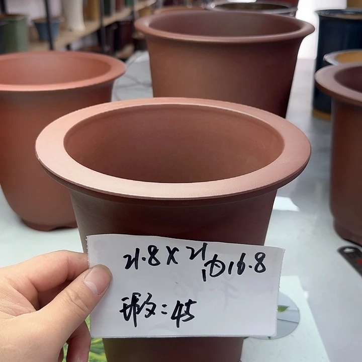 紫砂22222222222222222