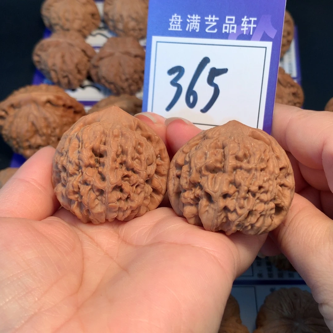 文玩核桃把件365官帽4.2