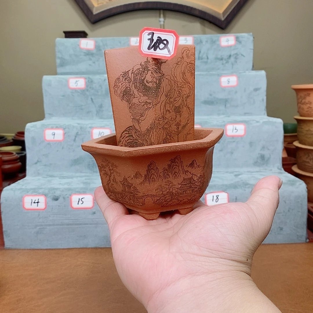 紫砂花盆我在看书