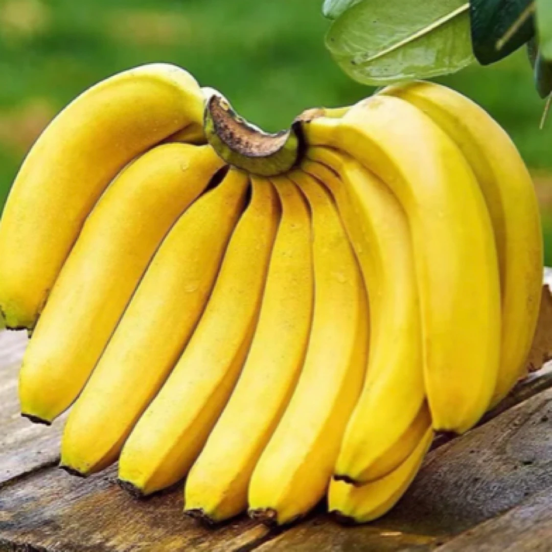 进口香蕉 2斤袋装