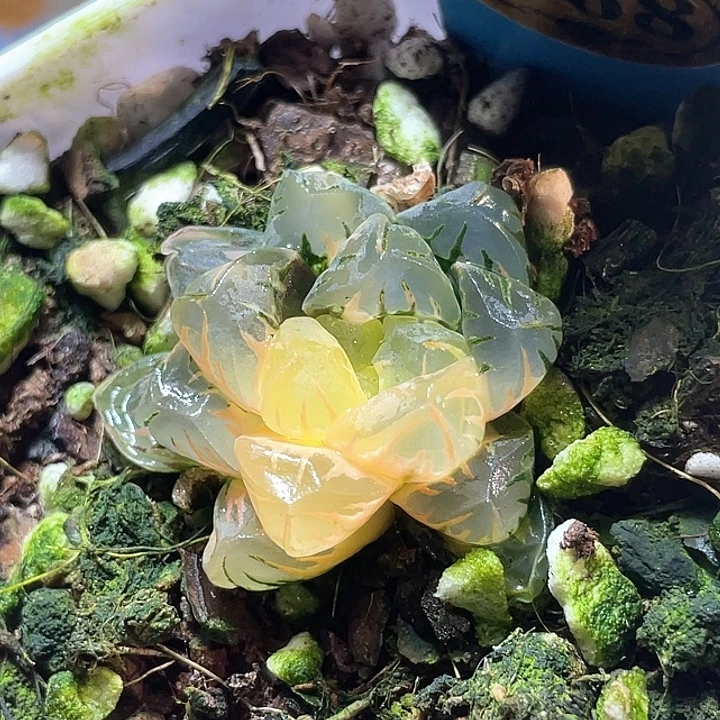 668广濑您特选福利