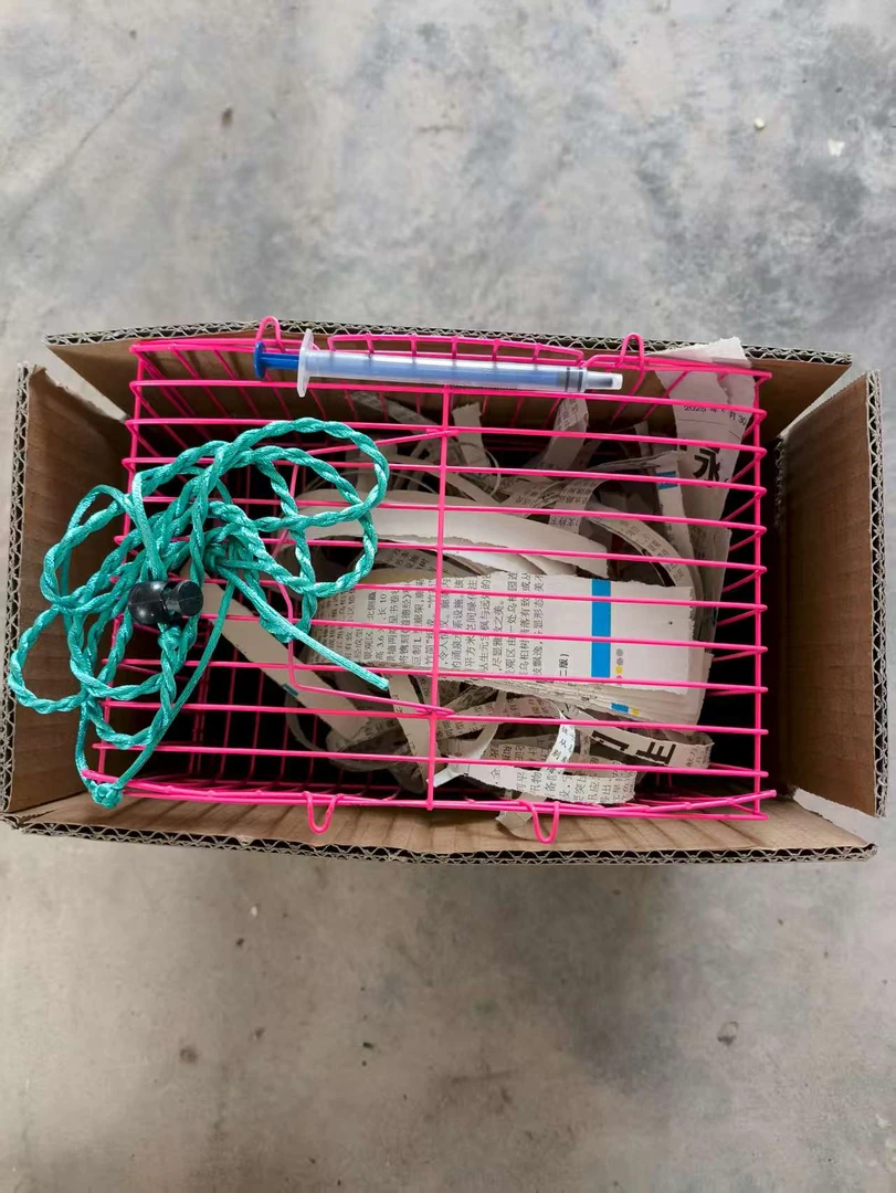 京东发货]四代运输笼喂奶器牵引绳整套包路上风险