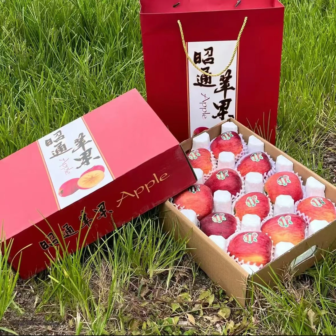 云南昭通高山红露糖心丑苹果现摘现发礼盒装新鲜水果