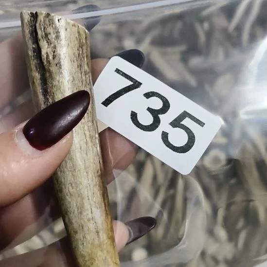 ༺***༻鹿角鹿角鹿角鹿角鹿角鹿角