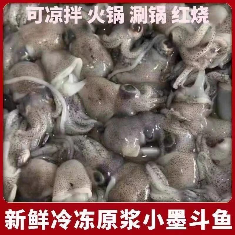 新鲜海捕小墨鱼仔 乌贼 墨鱼豆  5斤  无冰衣
